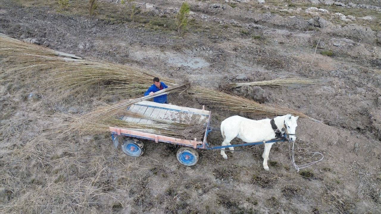 Tuz Gölü'nde 5 Bin Fidan Dikti, Hedef 10 Bin