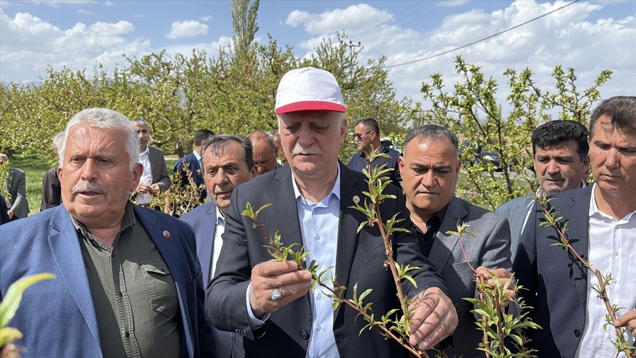 TZOB Başkanı Bayraktar, Niğde ve Kırşehir'deki Zirai Dondan Etkilenen Bahçeleri İnceledi