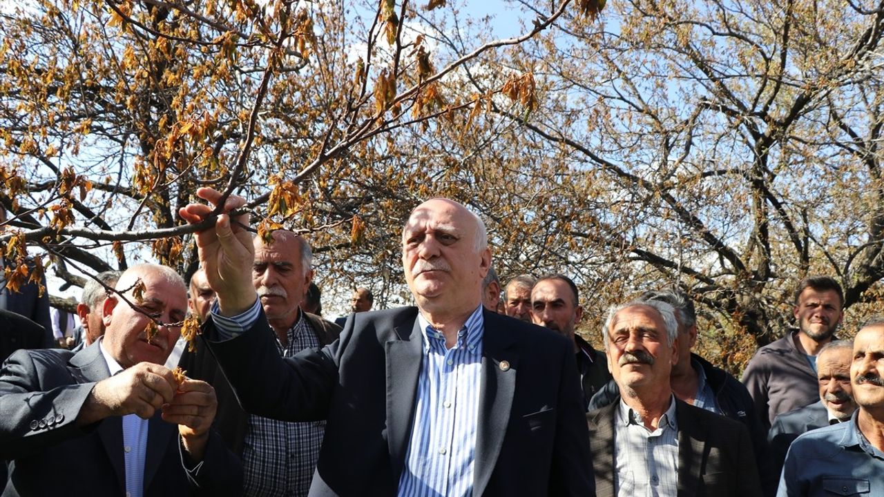 TZOB Genel Başkanı Bayraktar, Elazığ'daki Dondan Etkilenen Bahçeleri İnceledi