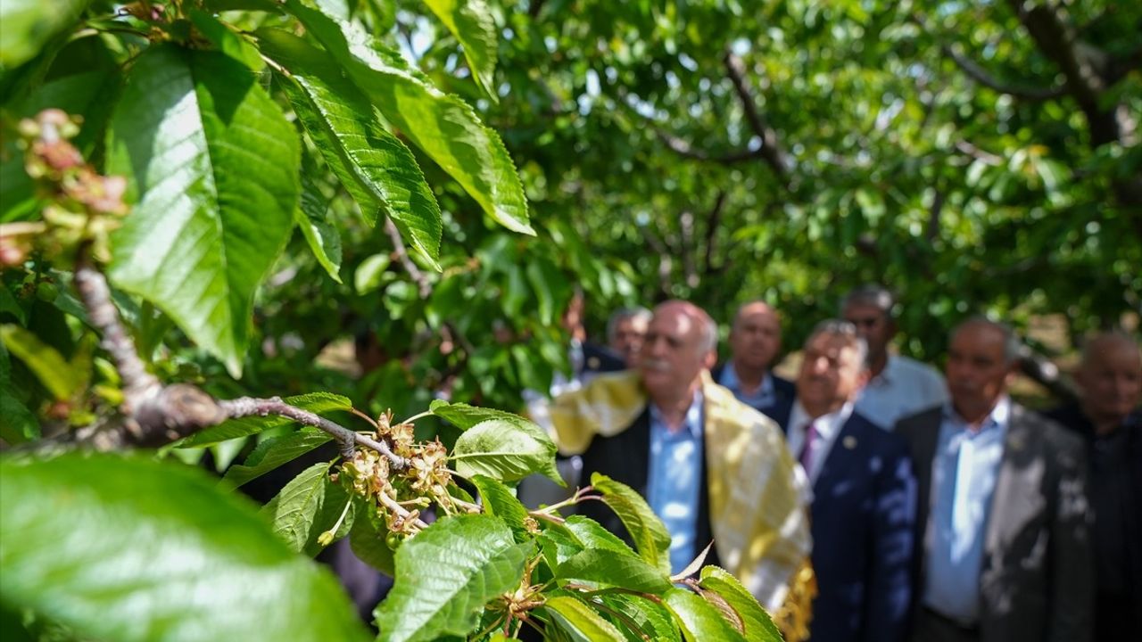 TZOB Genel Başkanı Bayraktar, İzmir'de Zirai Don Hasarını İnceledi