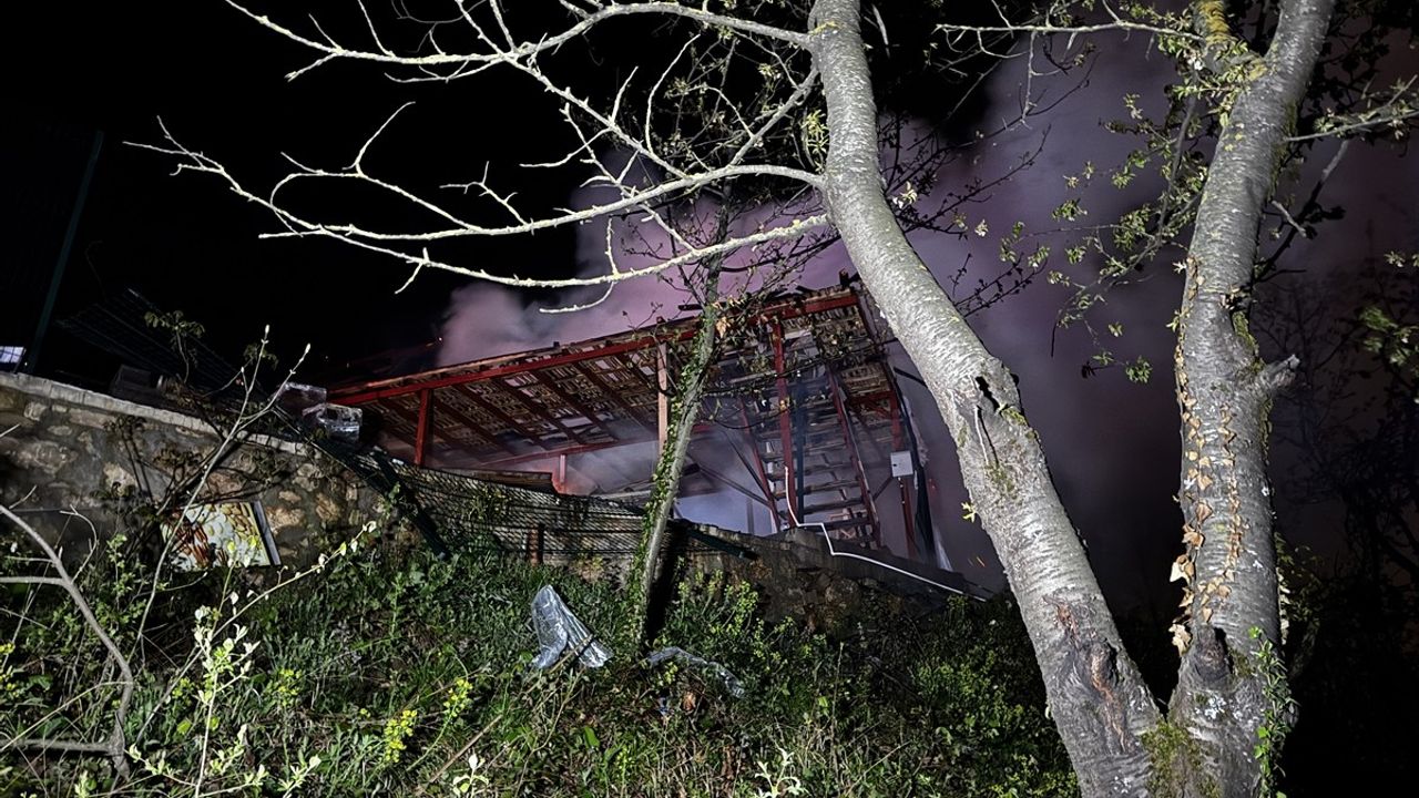 Uludağ'ın Eteklerinde Yangın: Baraka Alev Alev Yandı