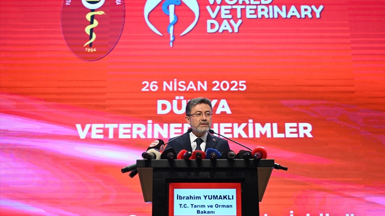 Veteriner Hekimler, Sahipsiz Köpek Sorununa Çözüm İçin Görev Alacak