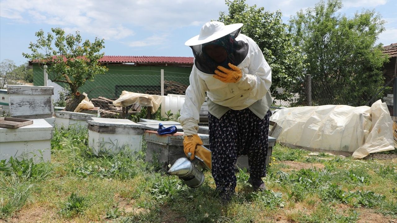 47 Yıldır Bal Üreten Zeynep Günay Tekin: "Arıcılık Benim Bir Parçam"