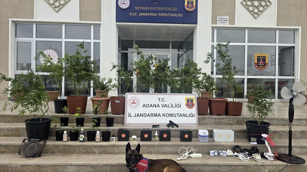 Adana'da Kenevir Yetiştiren 4 Şüpheli Yakalandı