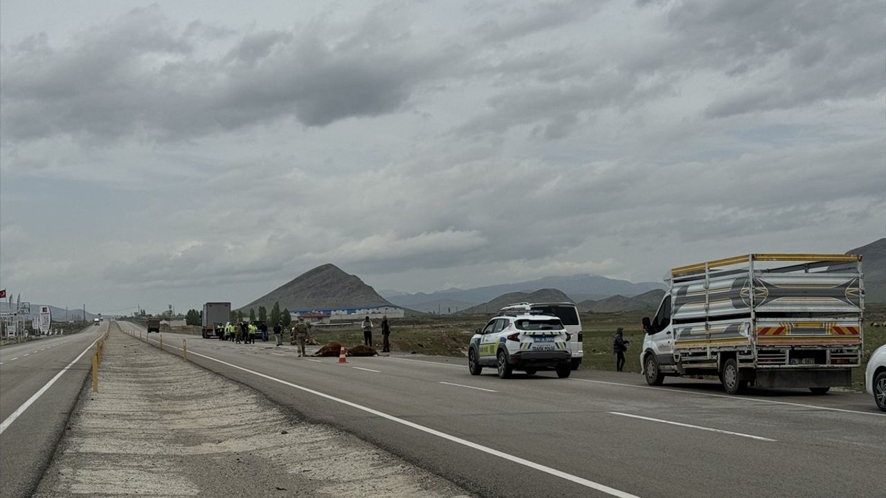 Ağrı'da Genç Erkekler Türkiye Ferdi Boks Şampiyonası Başladı