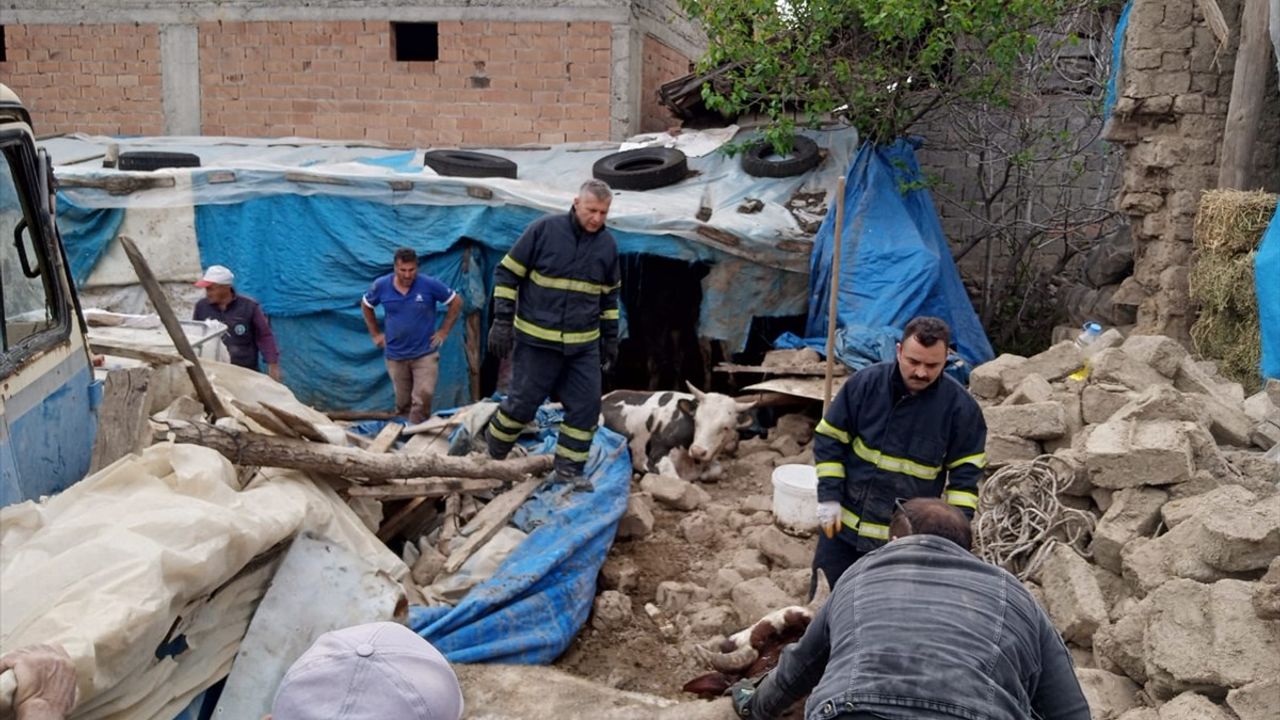Amasya'da Çatısı Çöken Ahırda 2 Büyükbaş Hayvan Kurtarıldı