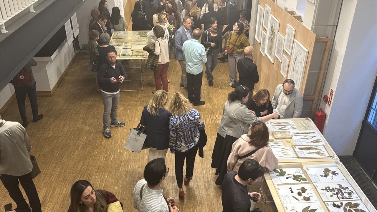 Anadolu'nun Bitki Mirası: Sanat ve Doğanın Buluşması Salt Beyoğlu'nda