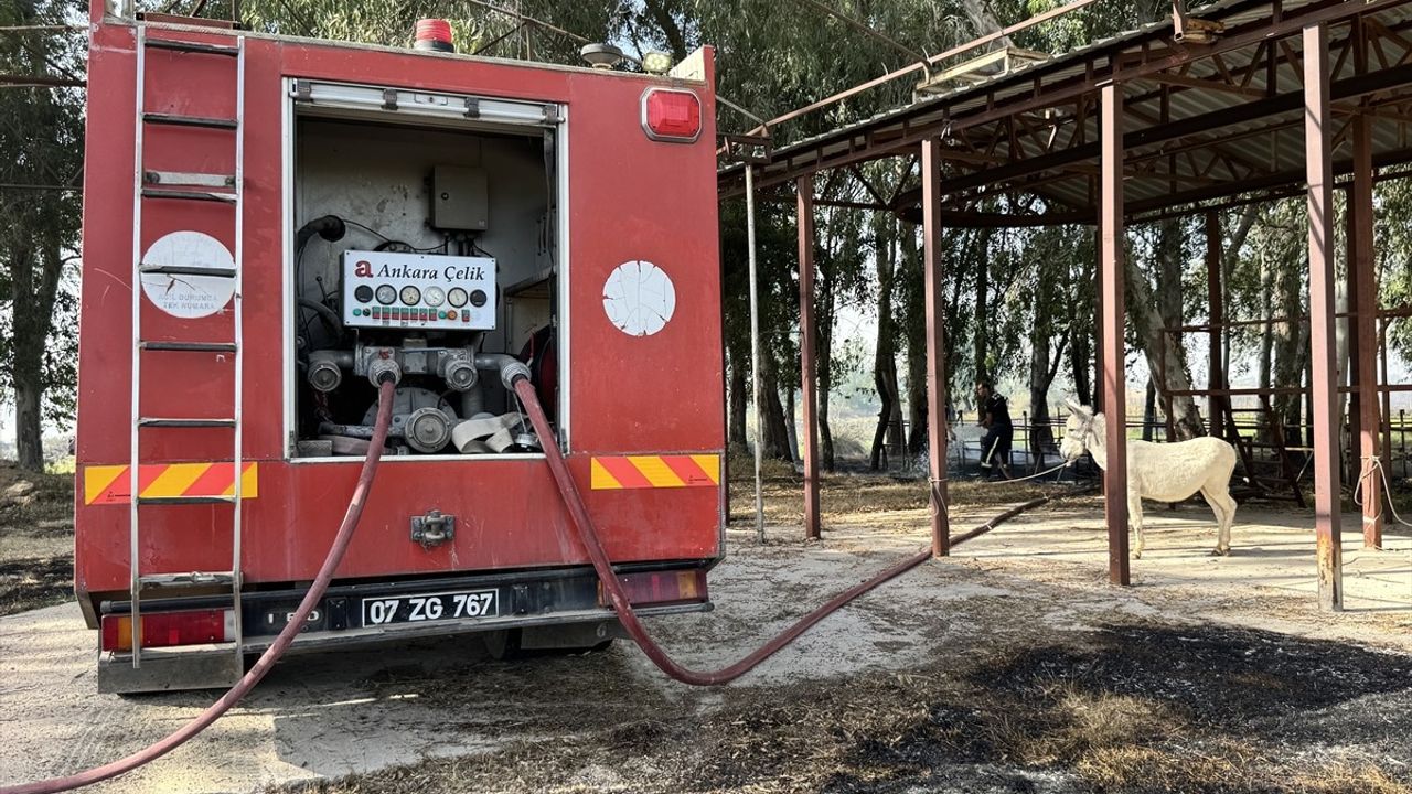 Antalya'da Ormanlık Alandaki Yangın İtfaiye Ekipleri Tarafından Söndürüldü