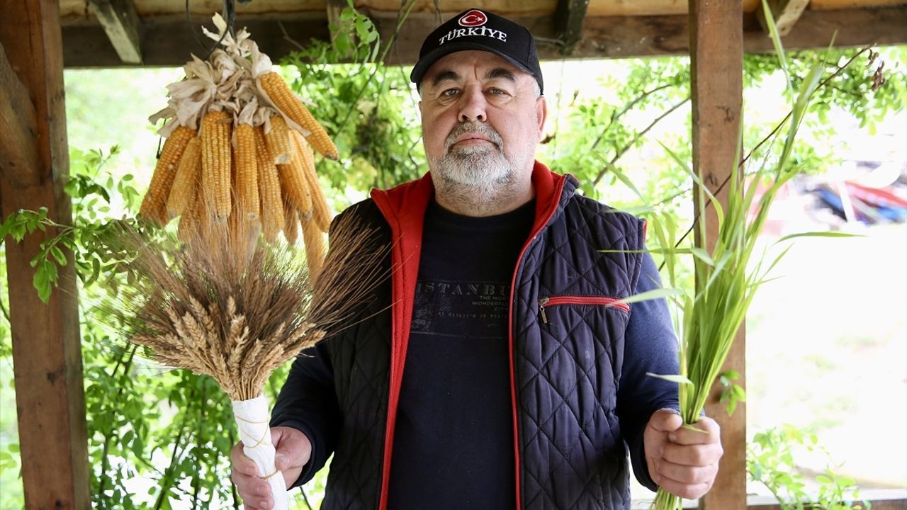 Ata Tohumu ile Üretilen Buğdaylar Tarihi Değirmende Öğütülüyor