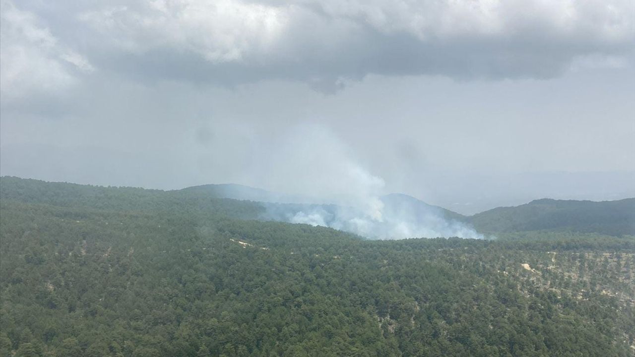 Aydın'da Orman Yangını Kontrol Altına Alındı