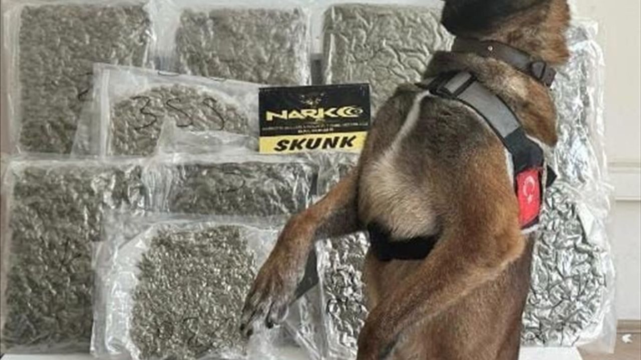 Balıkesir'de Yolcu Otobüsünde 10 Kilo 350 Gram Esrar Ele Geçirildi