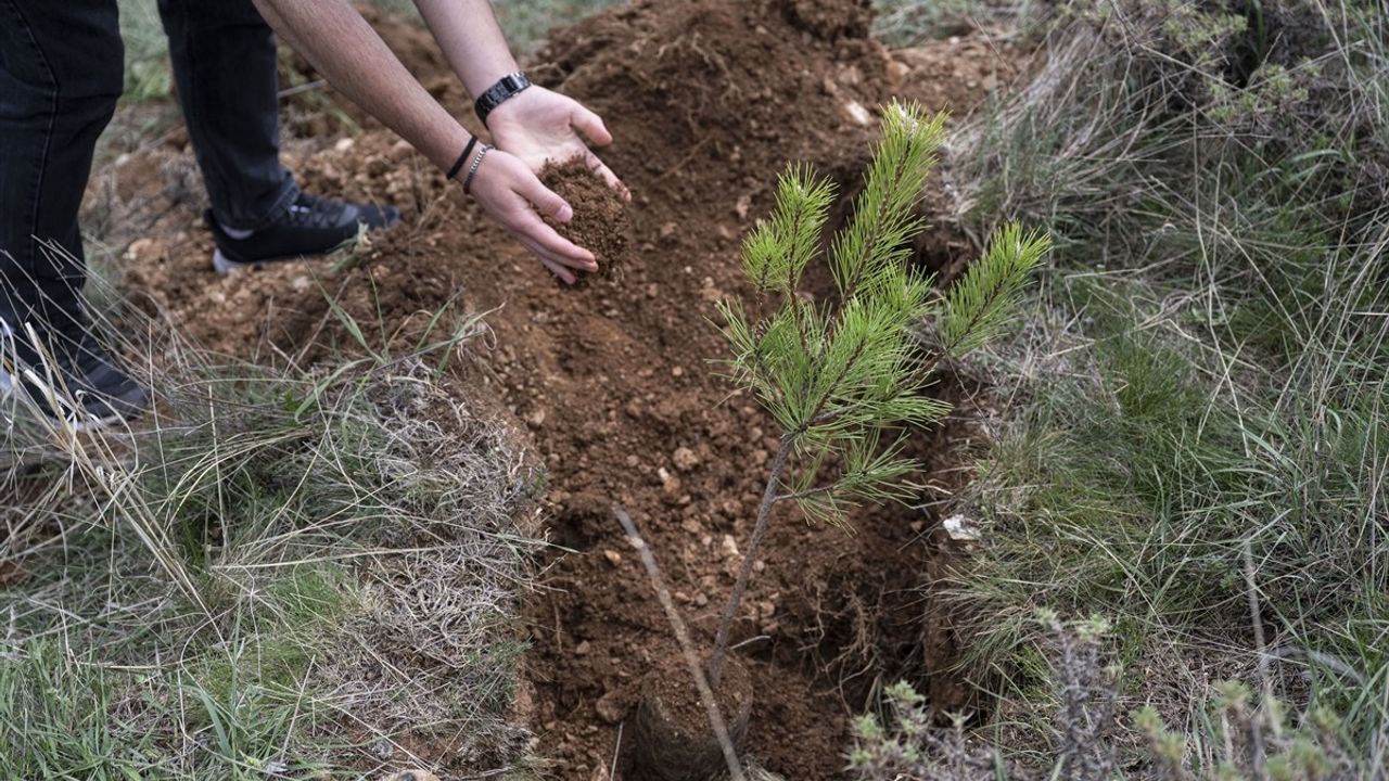 Başkentte 'Ailen İçin Fidan Dik' Etkinliği Düzenlendi
