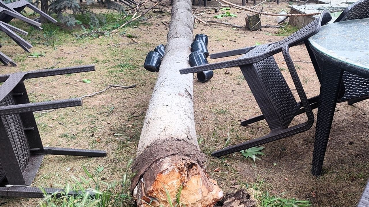 Bilecik'te Fırtına Sonrası Devrilen Ağaç Kafe Bahçesine Düştü