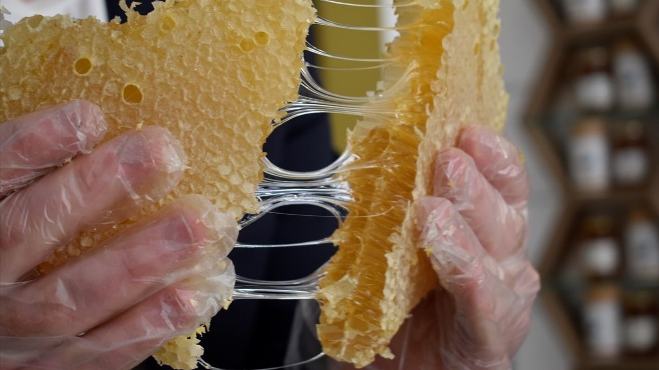 Bitlis Balı, Paris'ten İkinci Kez 'Altın Bal' Ödülüyle Döndü