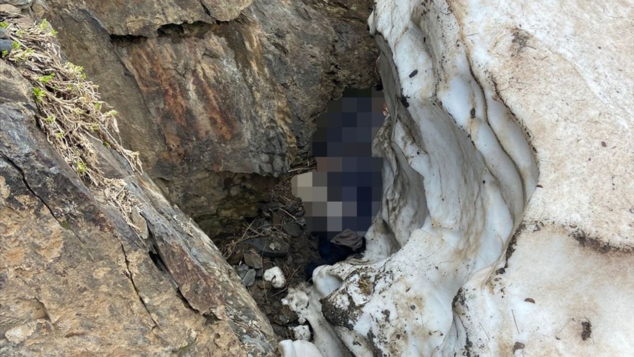Bitlis'te Dağa Giden Kadın Ölü Bulundu