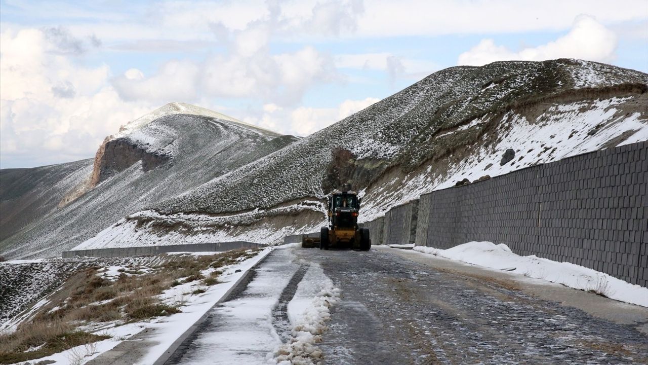 Bitlis'te Sahipsiz Hayvanlar İçin İzleme ve Denetim Toplantısı Yapıldı