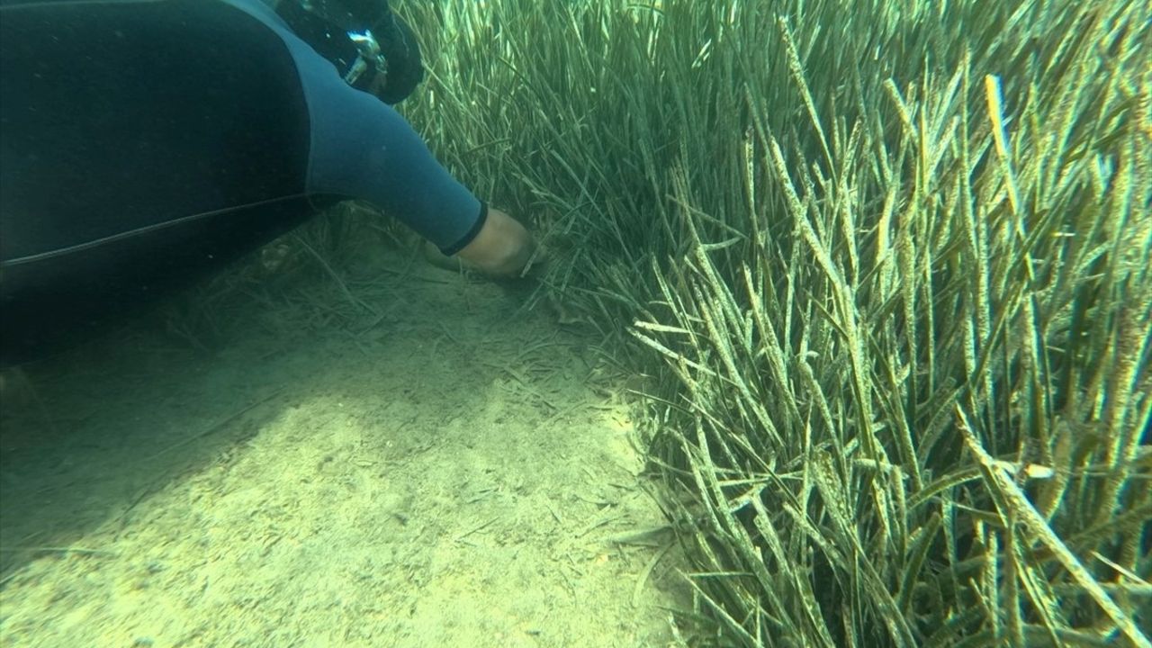 Bodrum'da Dalgıçlardan 223 Kilogram Su Altı Temizliği