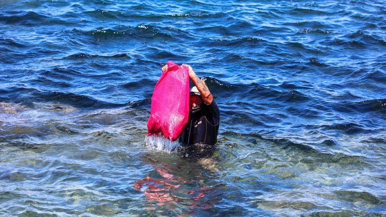 Bodrum'da Deniz Dibi Temizliği Etkinliği: 50 Kilogram Atık Çıkarıldı