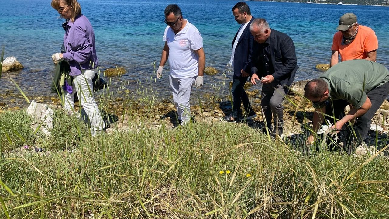 Bodrum'da Deniz ve Kıyı Temizliği: 2 Ton Atık Toplandı