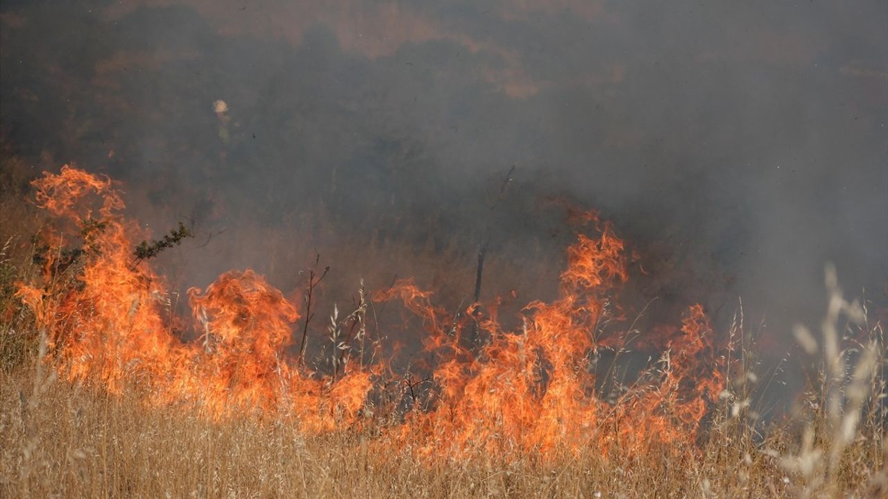 Bodrum'da Otluk Alanda Yangın Kontrol Altına Alındı