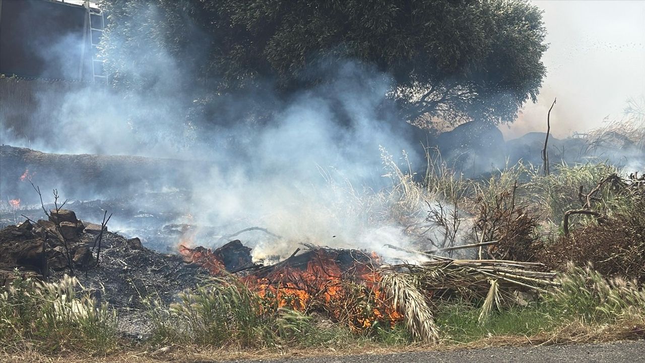 Bodrum'da Yerleşim Yakınında Yangın: Müdahale Devam Ediyor
