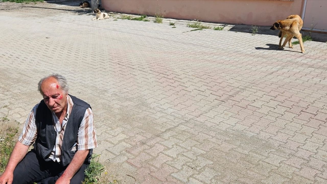 Burdur'da Sahipsiz Köpeklerin Saldırısında Yaralanan Bir Kişi Hastaneye Kaldırıldı