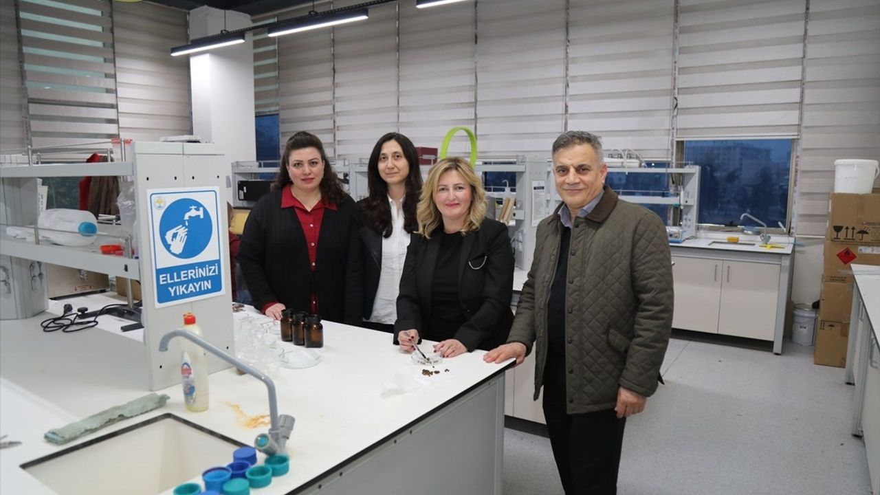 Bursa'dan Dünya Çapında Patent: Arı Ekmeğinin Tıbbi Kullanımı