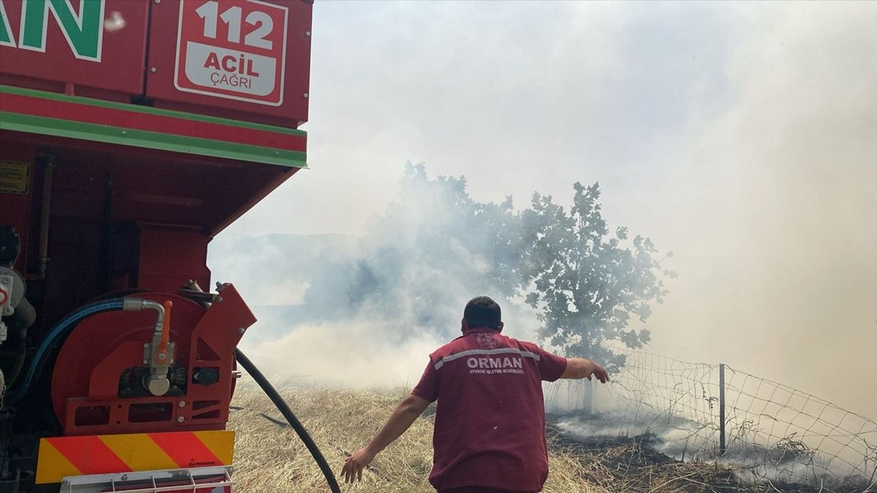 Çanakkale'de Orman Yangını Kontrol Altına Alındı