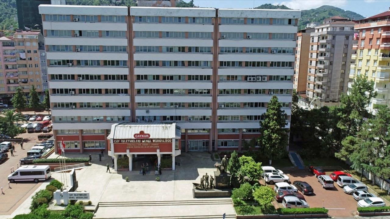 ÇAYKUR 2025 Yaş Çay Kampanyasını Başlattı