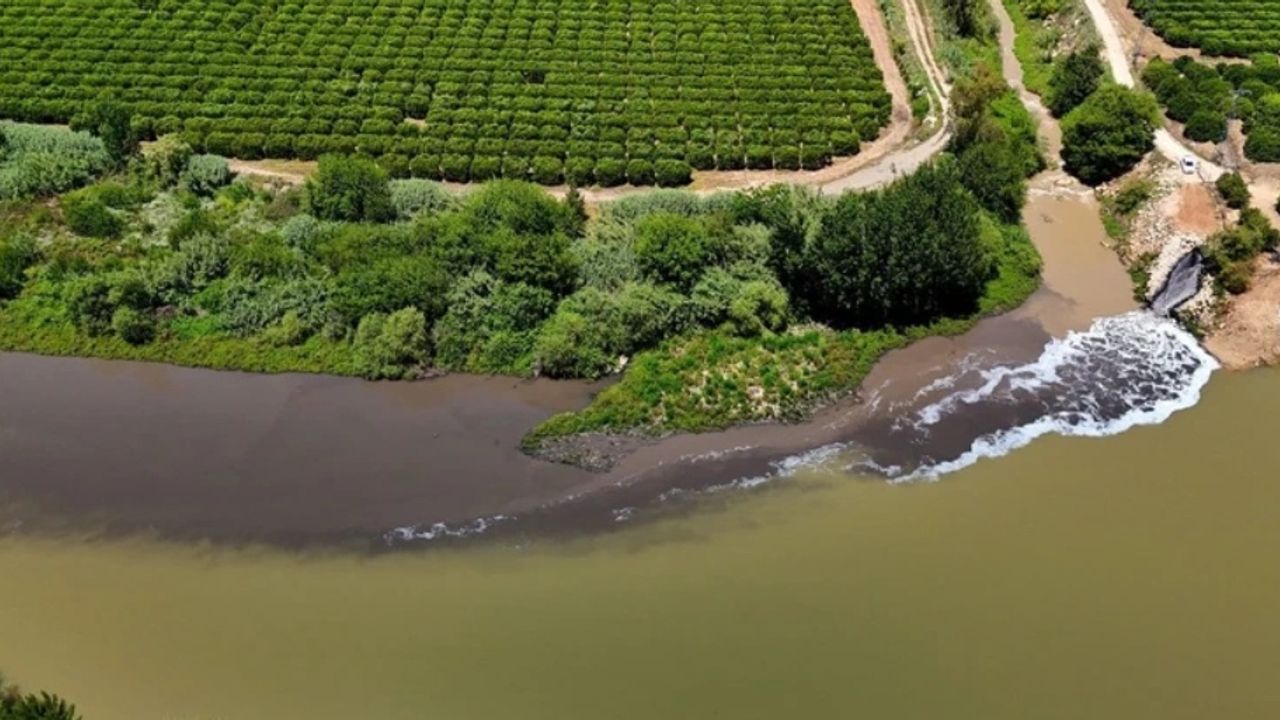 Ceyhan Nehri'nde SOS Alarmı: Adanalılar Çözüm Bekliyor