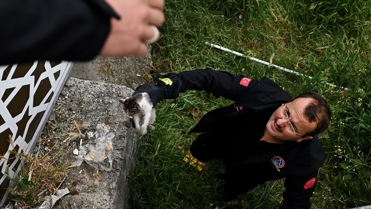 Düzce'de Taksicinin Sahiplendiği Kedi Yavrusunun Kurtarılma Hikayesi