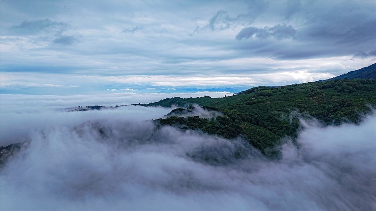 Düzce'deki Sis Denizi Havadan Görüntülendi