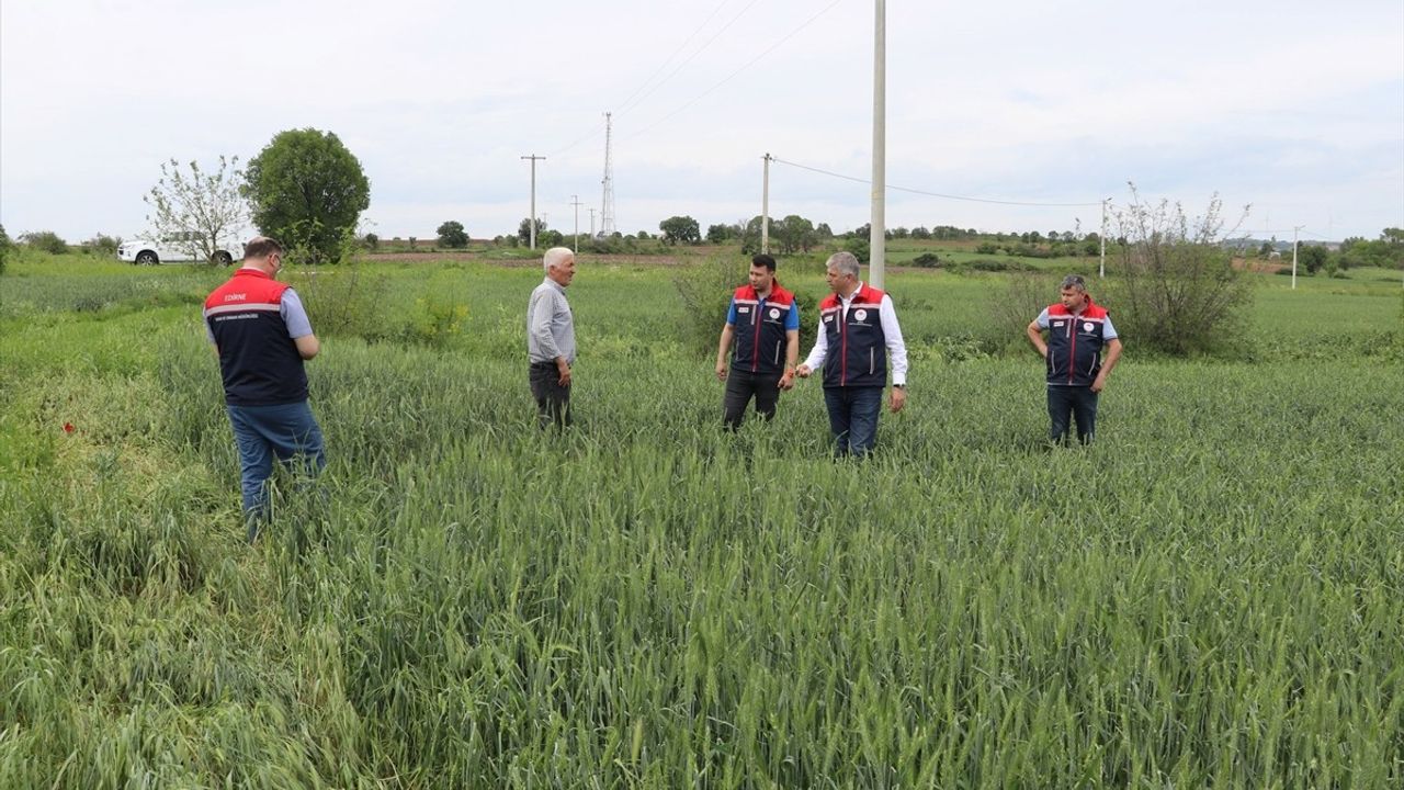 Edirne'de Dolu Afeti: Tarım Arazilerinde Hasar Tespiti Yapıldı