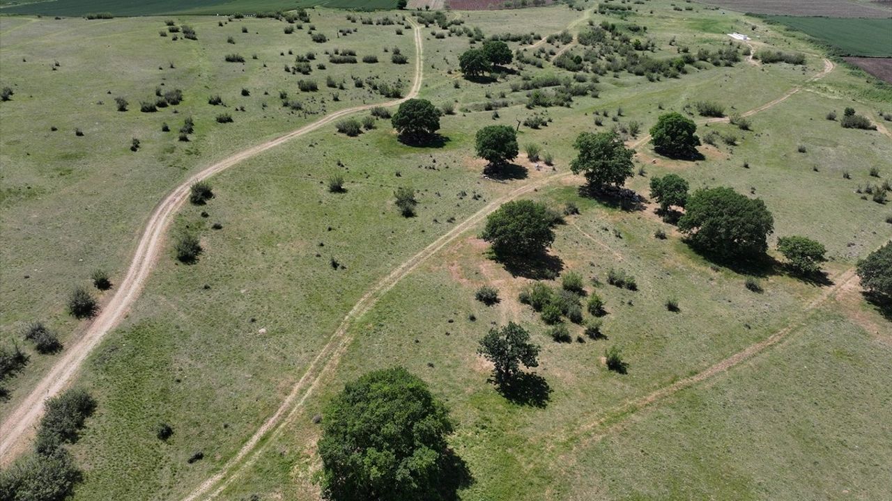 Edirne'de Meralarda Sulama Sistemi Uygulaması Başlatılıyor