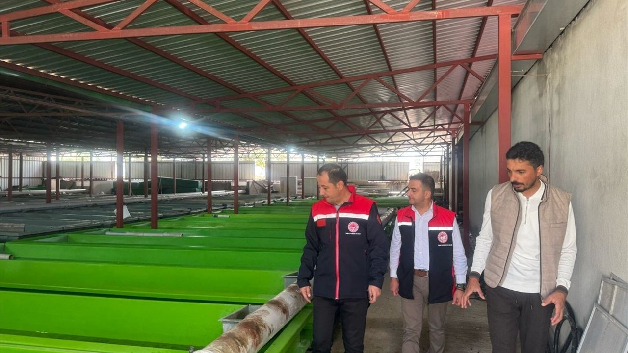 Erzincan'da Su Ürünleri Üretimi Gelişiyor