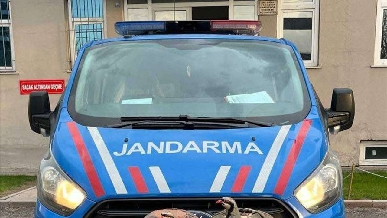 Erzurum'da Kaçak Avcılığa 13 Bin 500 Lira Ceza
