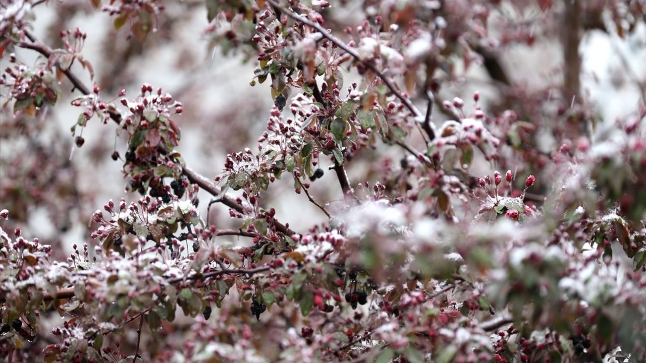 Erzurum'da Mayıs Ortasında Lapa Lapa Kar Yağdı