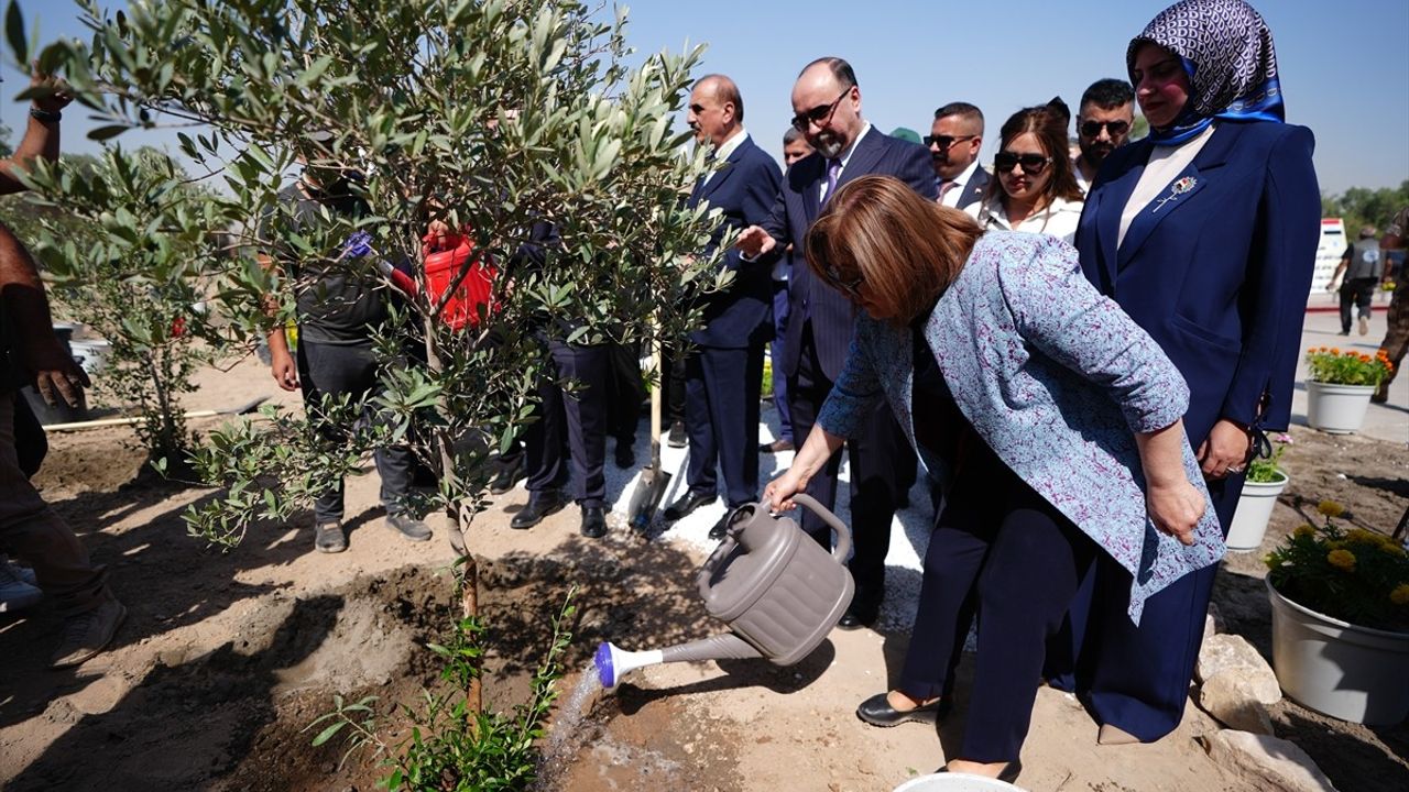 Gaziantep Belediyesi'nden Bağdat'a 5 Bin Zeytin ve İncir Fidanı Hediye
