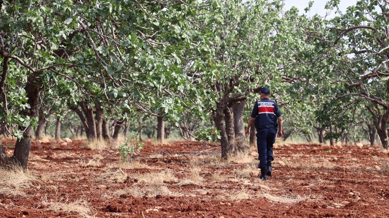 Gaziantep'te Kayıp Otizmli Çocuğun Arama Çalışmaları Devam Ediyor