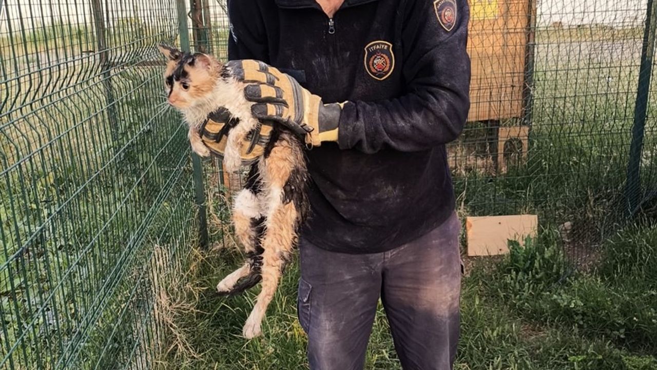 Hatay'da Bina Boşluğuna Düşen Kedi İtfaiye Ekipleri Tarafından Kurtarıldı