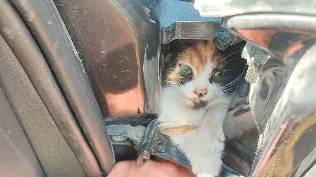 Hatay'da Otomobil Kapısına Sıkışan Kedi Yavrusu Kurtarıldı