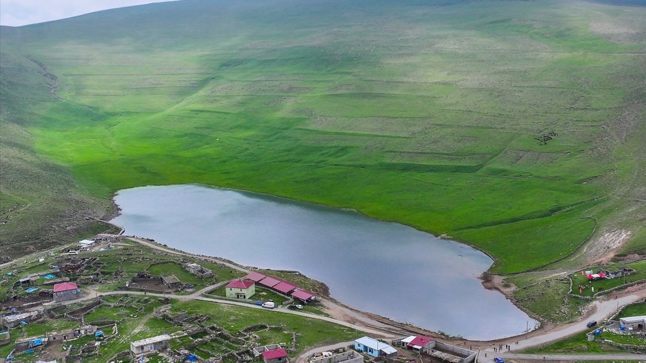Iğdır'da 10 Bin Dönüm Arazi Çiftçilere Mera Olarak Açıldı