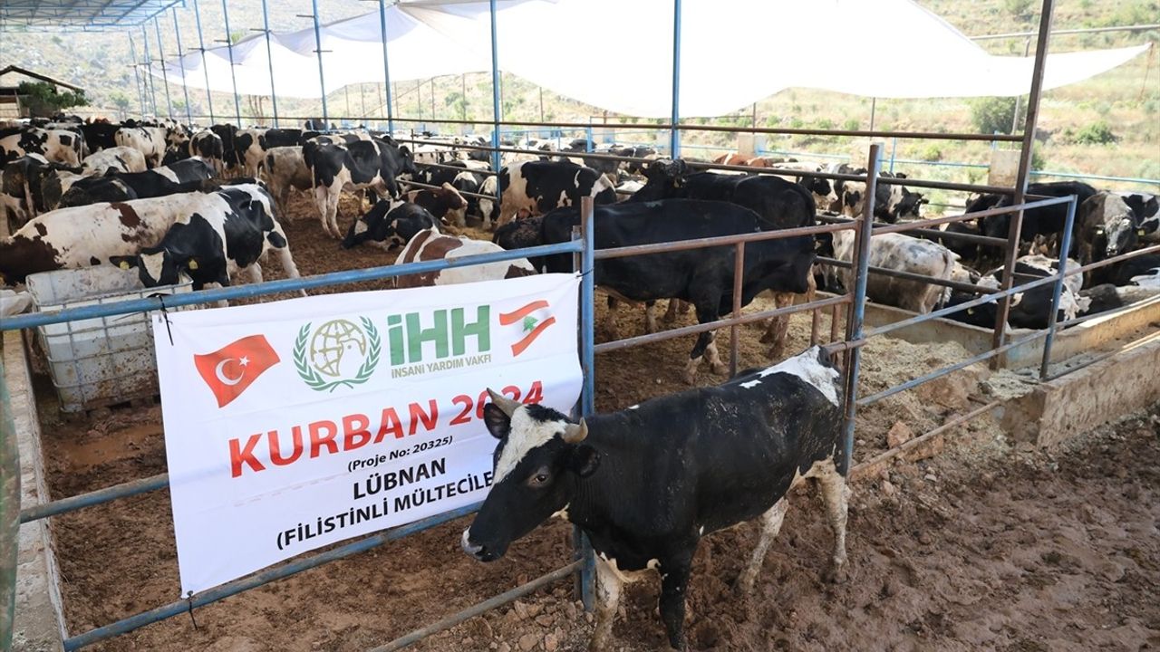 İHH, Kurban Hisse Bedelini 8.500 Lira Olarak Belirledi