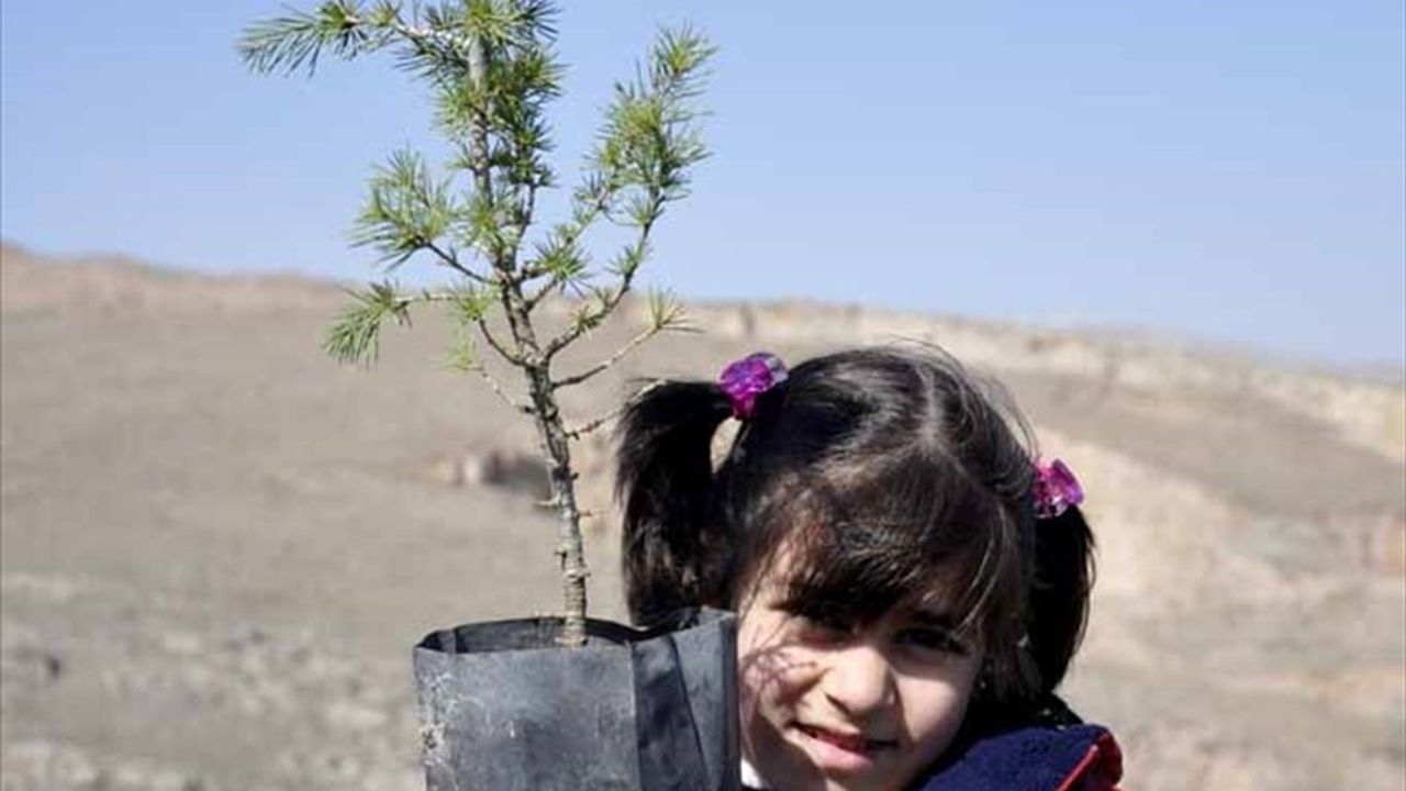 İHH, Yetimler İçin 160 Bin Fidan Dikti!