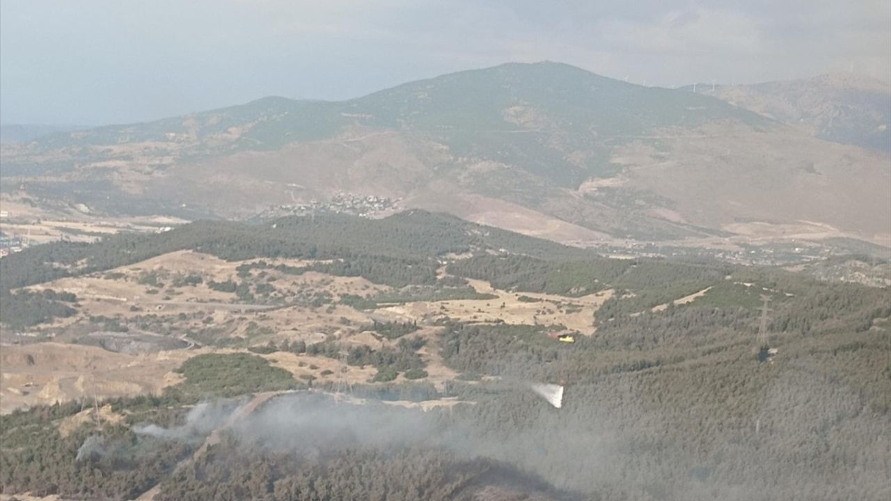 İzmir Aliağa'da Orman Yangınına Hızla Müdahale Ediliyor