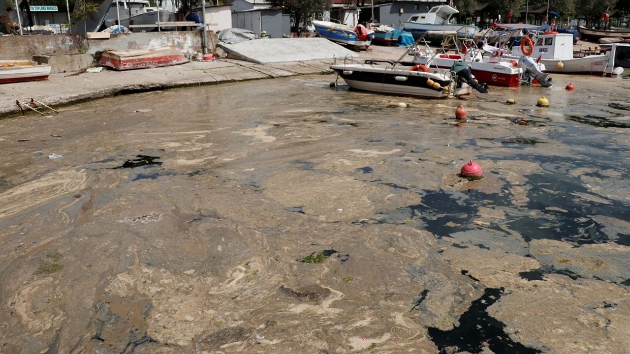 İzmit Körfezi'nde Köpüklü Tabaka İçin Temizlik Çalışmaları Başlatıldı
