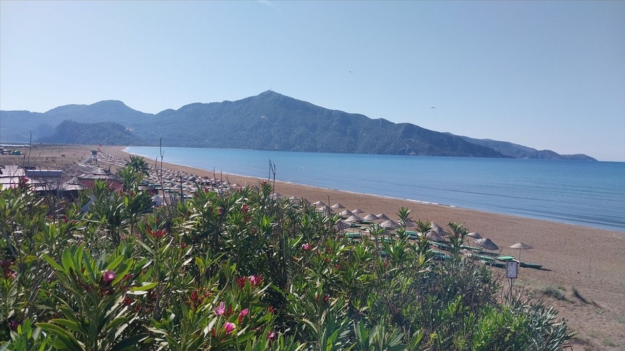İztuzu Plajı'nda Caretta Caretta Yuvaları 10'a Ulaştı
