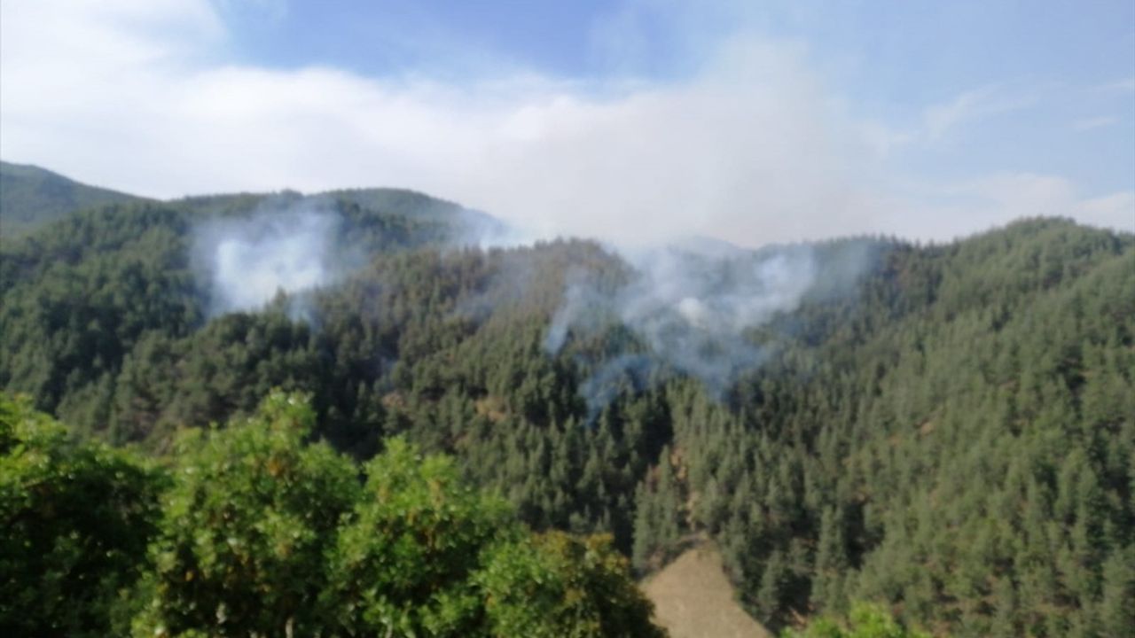 Kahramanmaraş'ta Orman Yangınına Müdahale Devam Ediyor