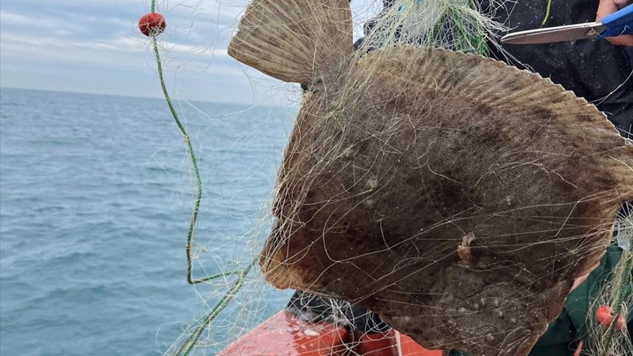 Karadeniz'de 44 Bin Metre Kaçak Ağ Toplandı