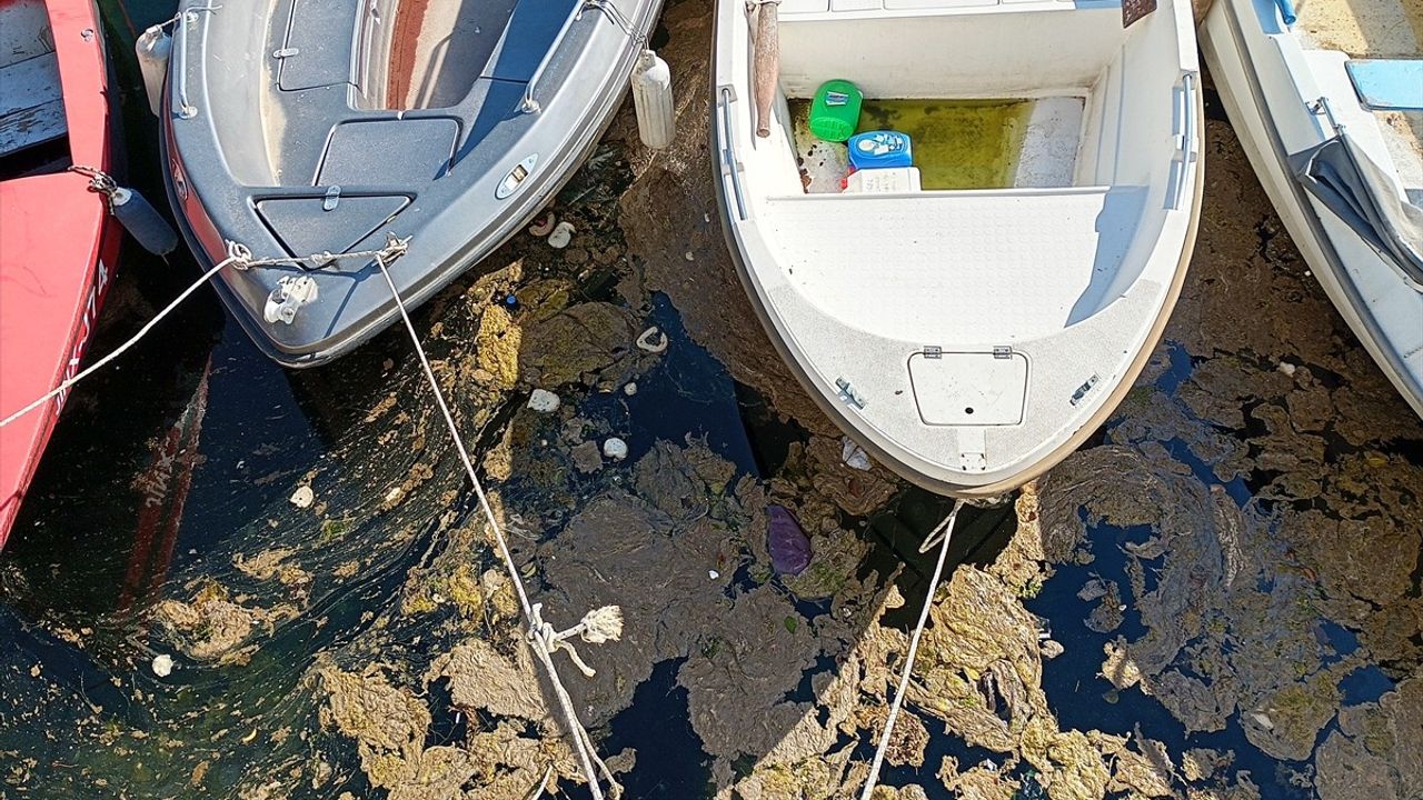 Karamürsel'de Denizde Köpüklü Tabaka Oluştu